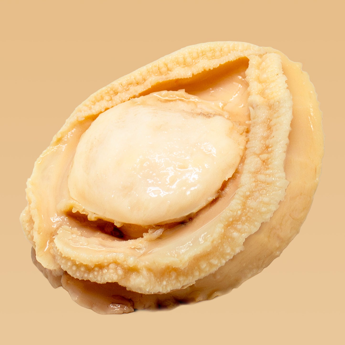 Fortune Australia Wild Abalone 425g (1P, DW: 100g)